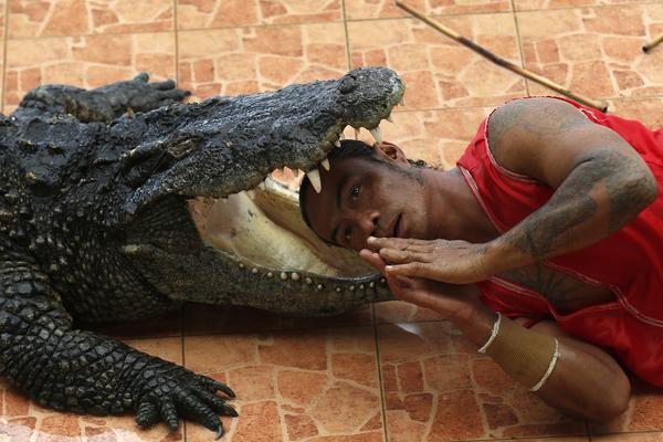 po18自由的小說閱讀網入口1