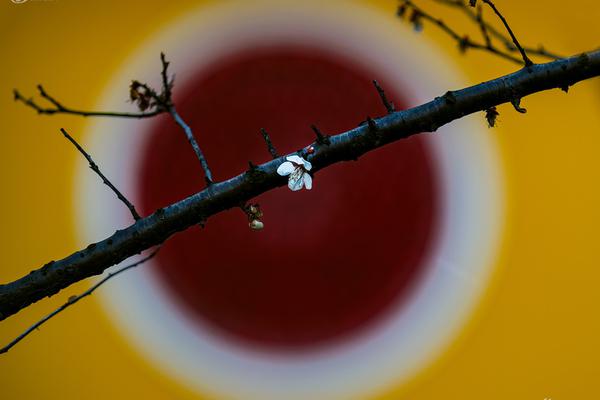 長途大巴車被陌生人撞了