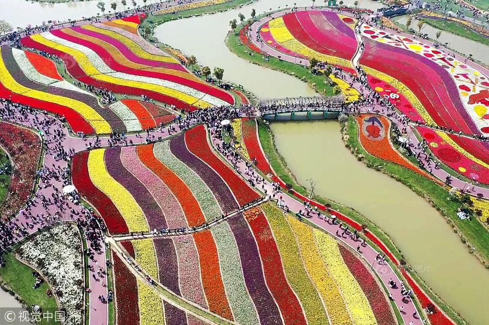 易感by東度日小說無刪減