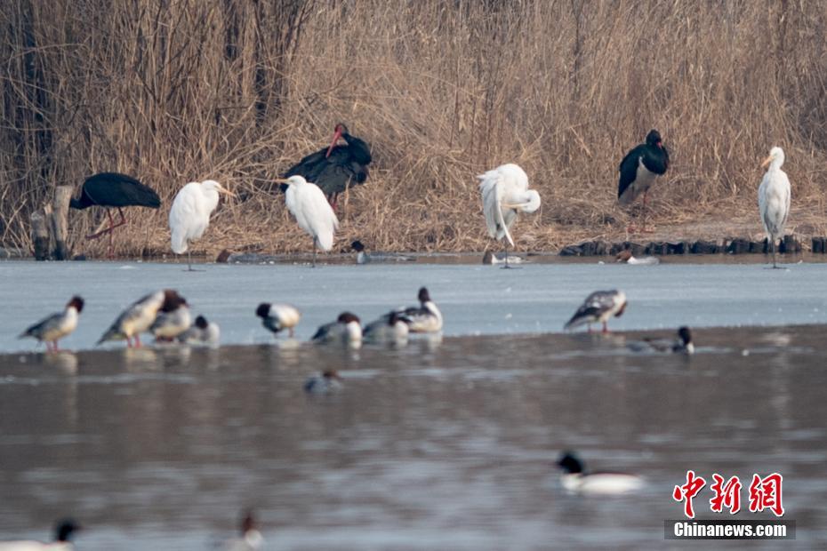 租客by舊時(shí)嘆小說(shuō)