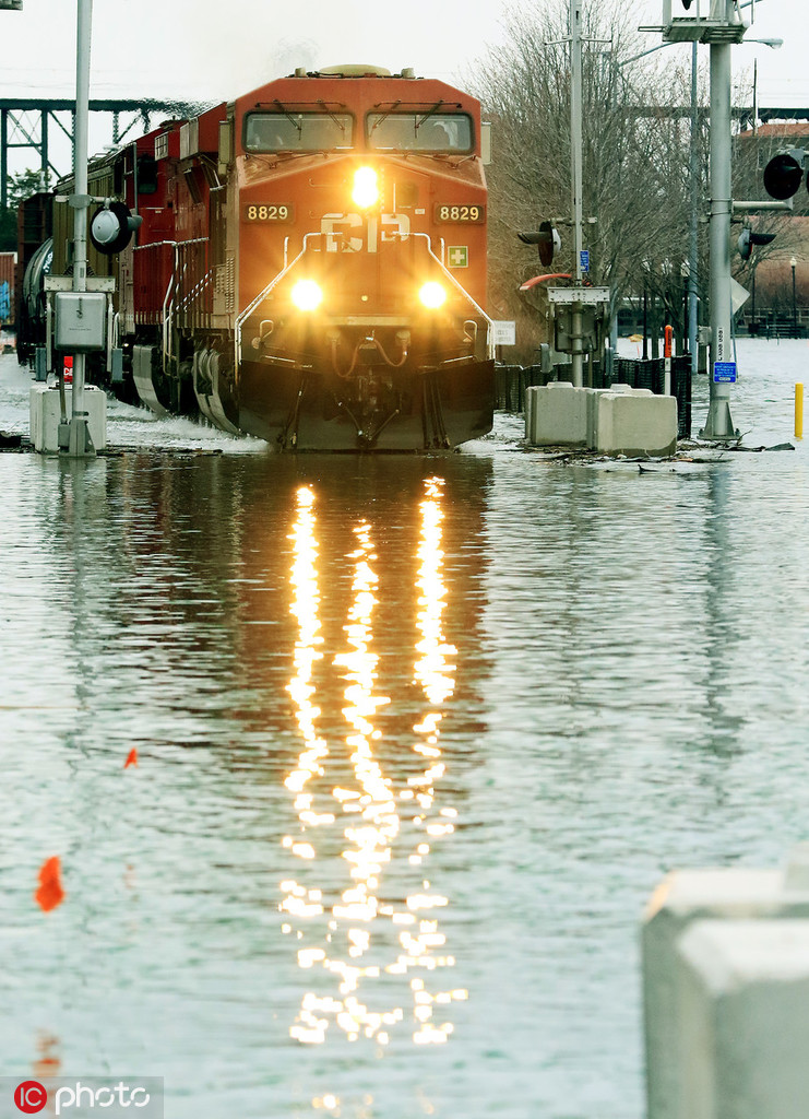 《忠犬》by雪莉txt