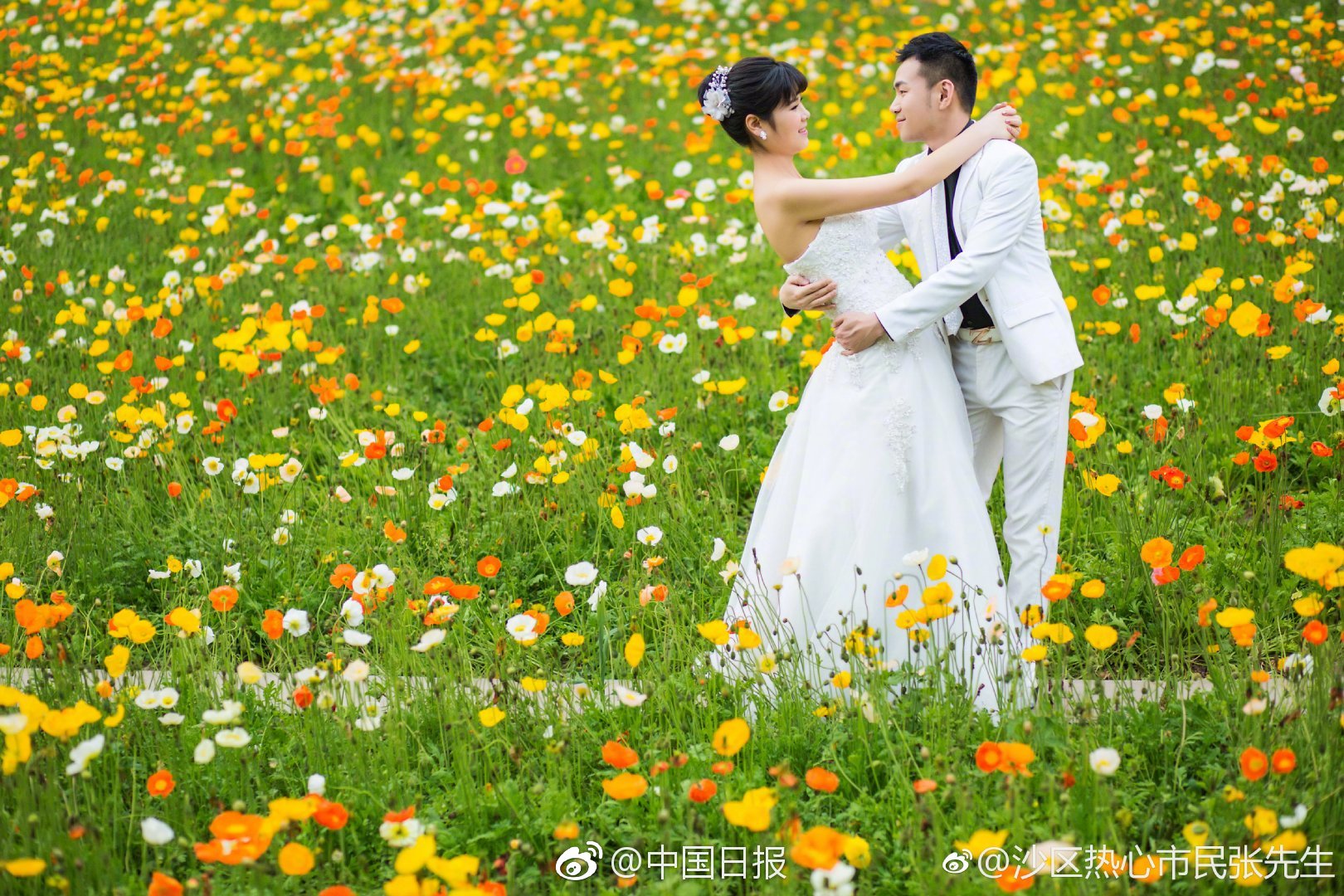 與蛇共舞by稚萌天下百度網盤