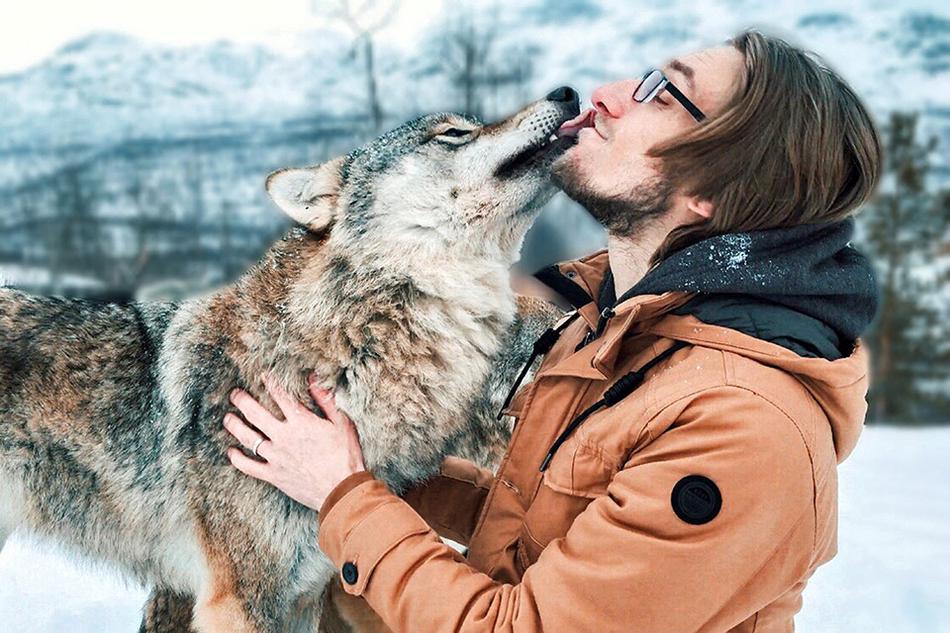 沉歡by 瞿淮全文免費