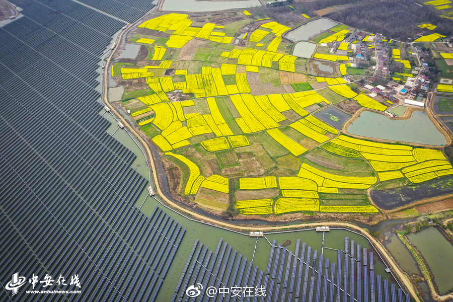 晝眠春信璇樞星TXT下載