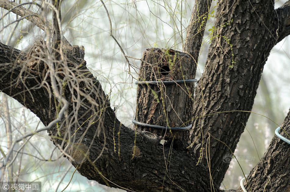 竹馬占有欲很強(qiáng)從小就管青梅小說