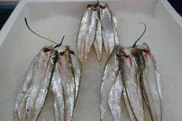 肚兜裹不住胸前飽滿的出處和背景故