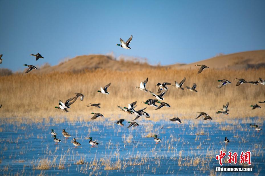 乖讓小叔看看by筆趣閣榮欣欣