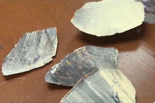 昨天暴雨預警by密碼本講的是什么