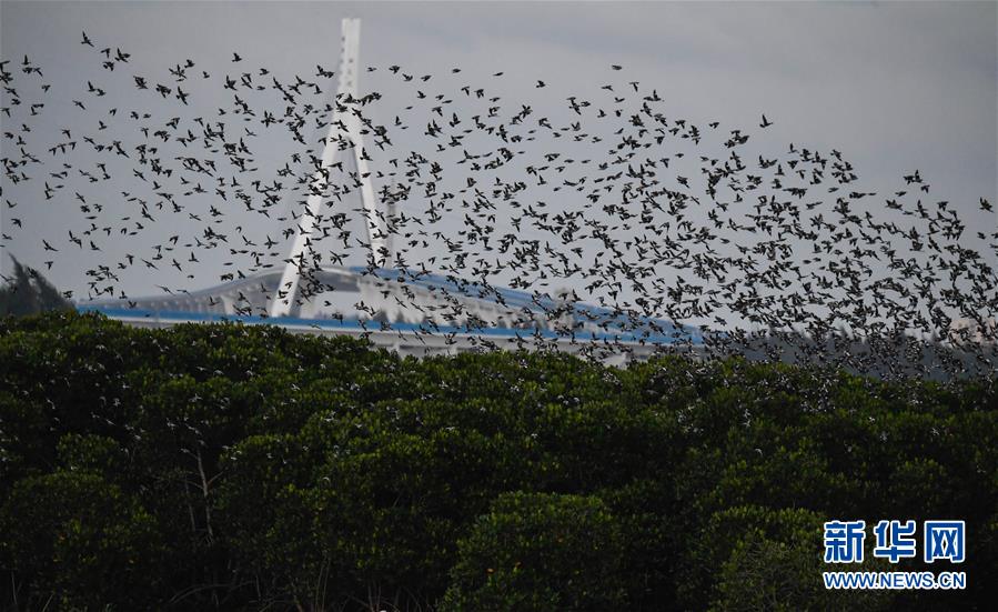1—40集免費觀看全集免費