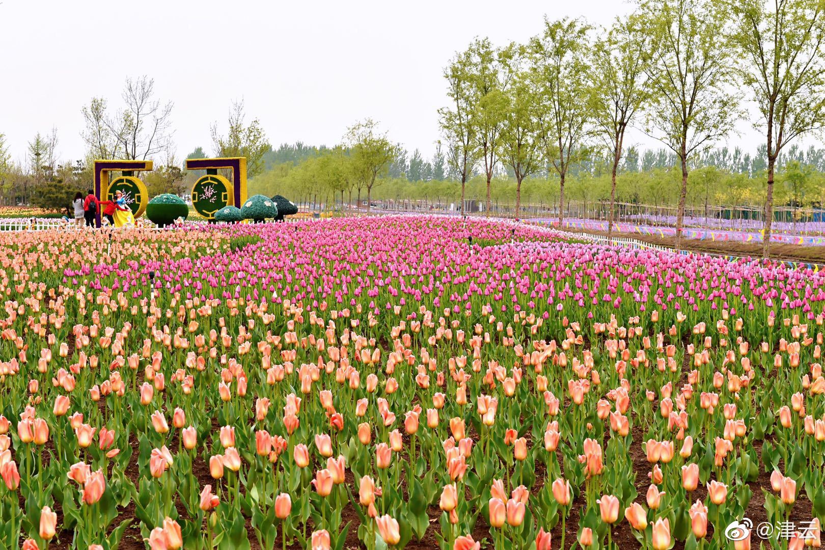 欲晚黃河邊(年下糙漢) 筆趣閣白杏李回