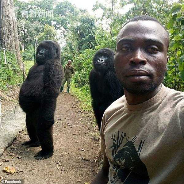 長風有歸處by語笑闌珊百度云