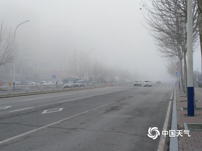 共感娃娃(雙男主)筆趣閣