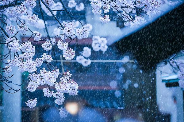 筆趣閣小說怎么不更新了