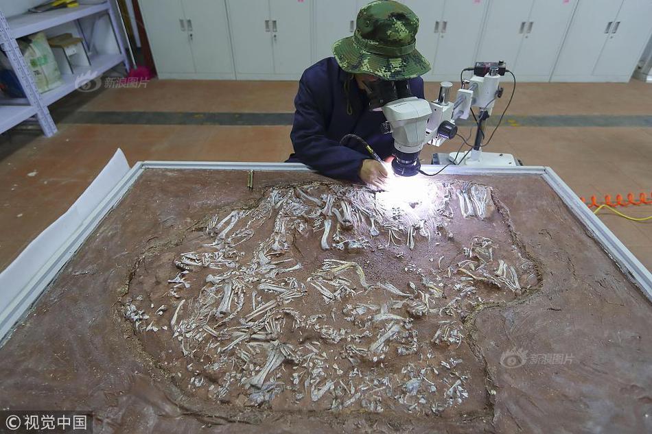 病案本全文番外txt百度網(wǎng)盤