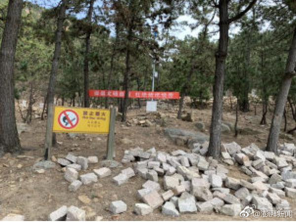 成都今夜請將我遺忘txt