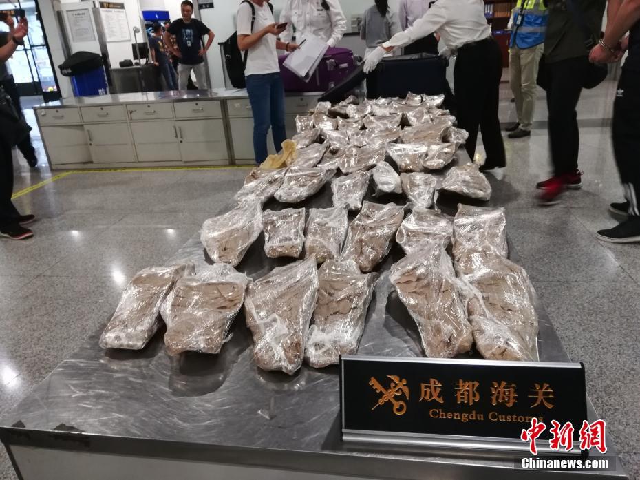 霸道總鬼纏上我全文+番外百度云