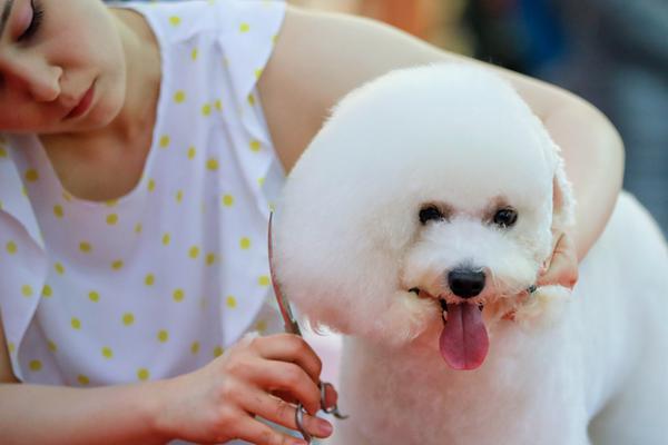 (雙)筆趣閣道具外出