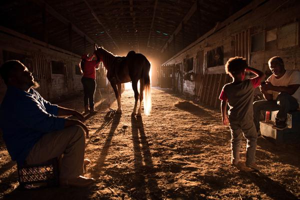 一桿槍掃盡全家txt
