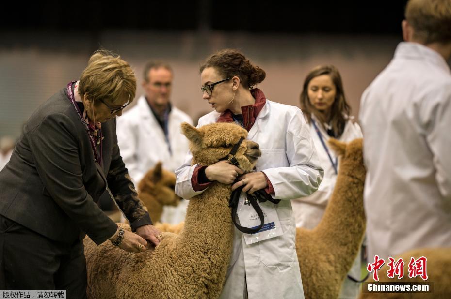長嫂為妻by暮色酒歌十八書屋