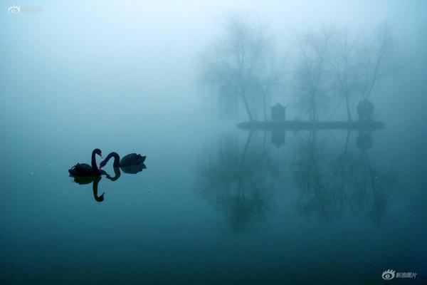 《軟骨頭》by雪碧txt