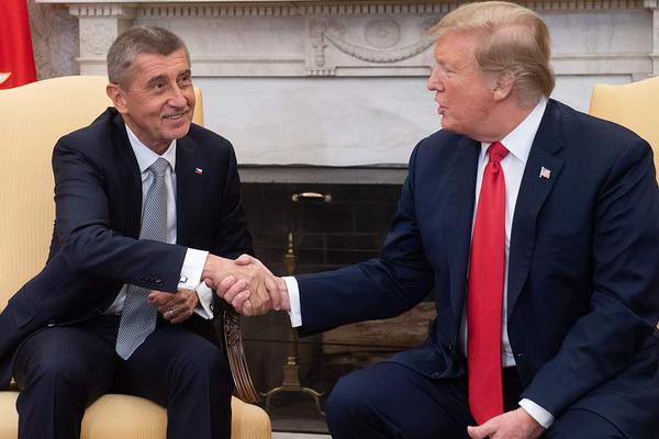 《小崽子[娛樂圈]》 作者:公子聞箏