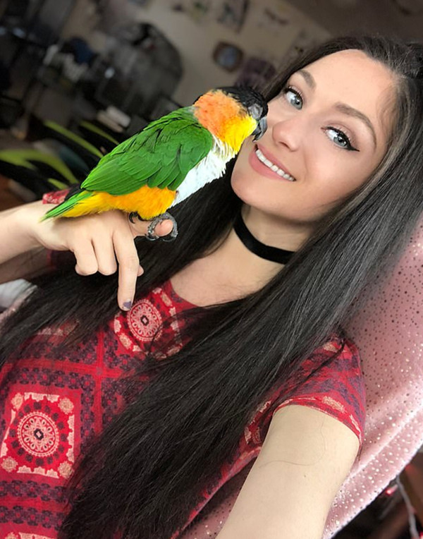 【長弓燧龍】凝光