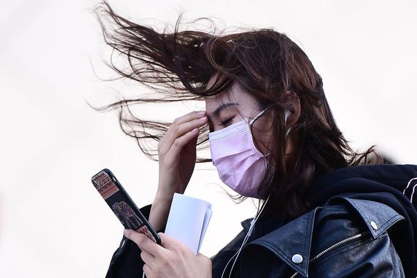 一醉經年百度云