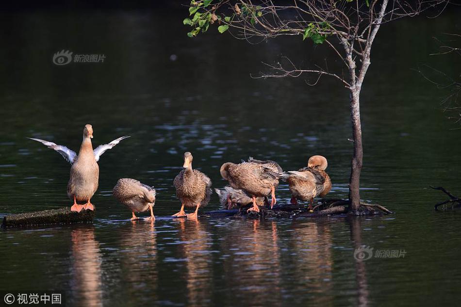 知否原著全文TXT下載
