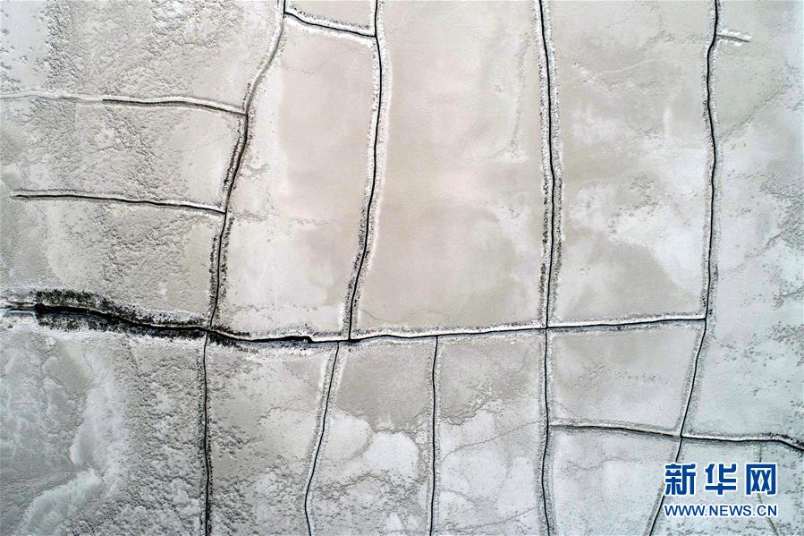 斗羅大陸2 筆趣閣