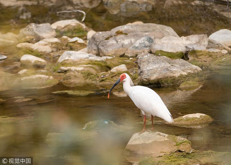 《暗室欺心》by周涼西是he嗎